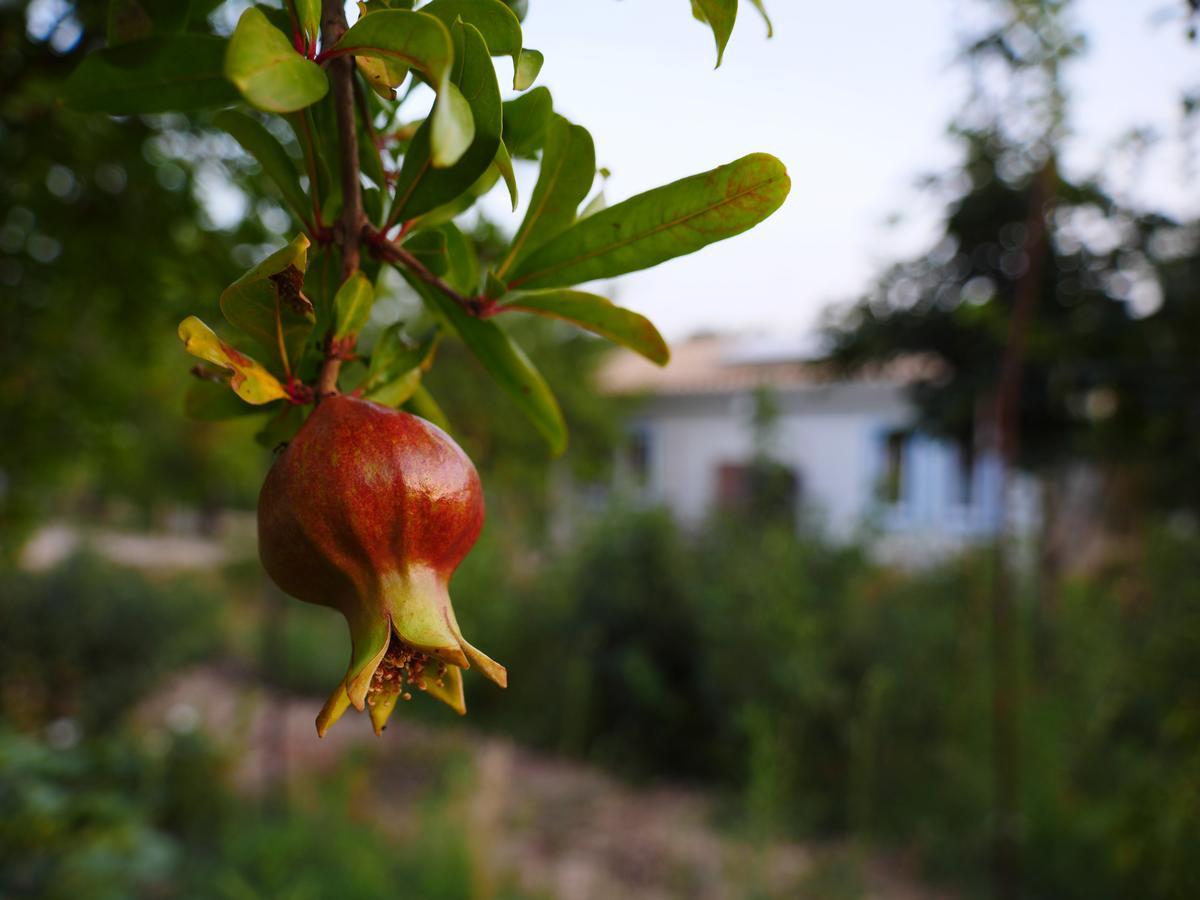 Camping Fiori Di Noto Dış mekan fotoğraf