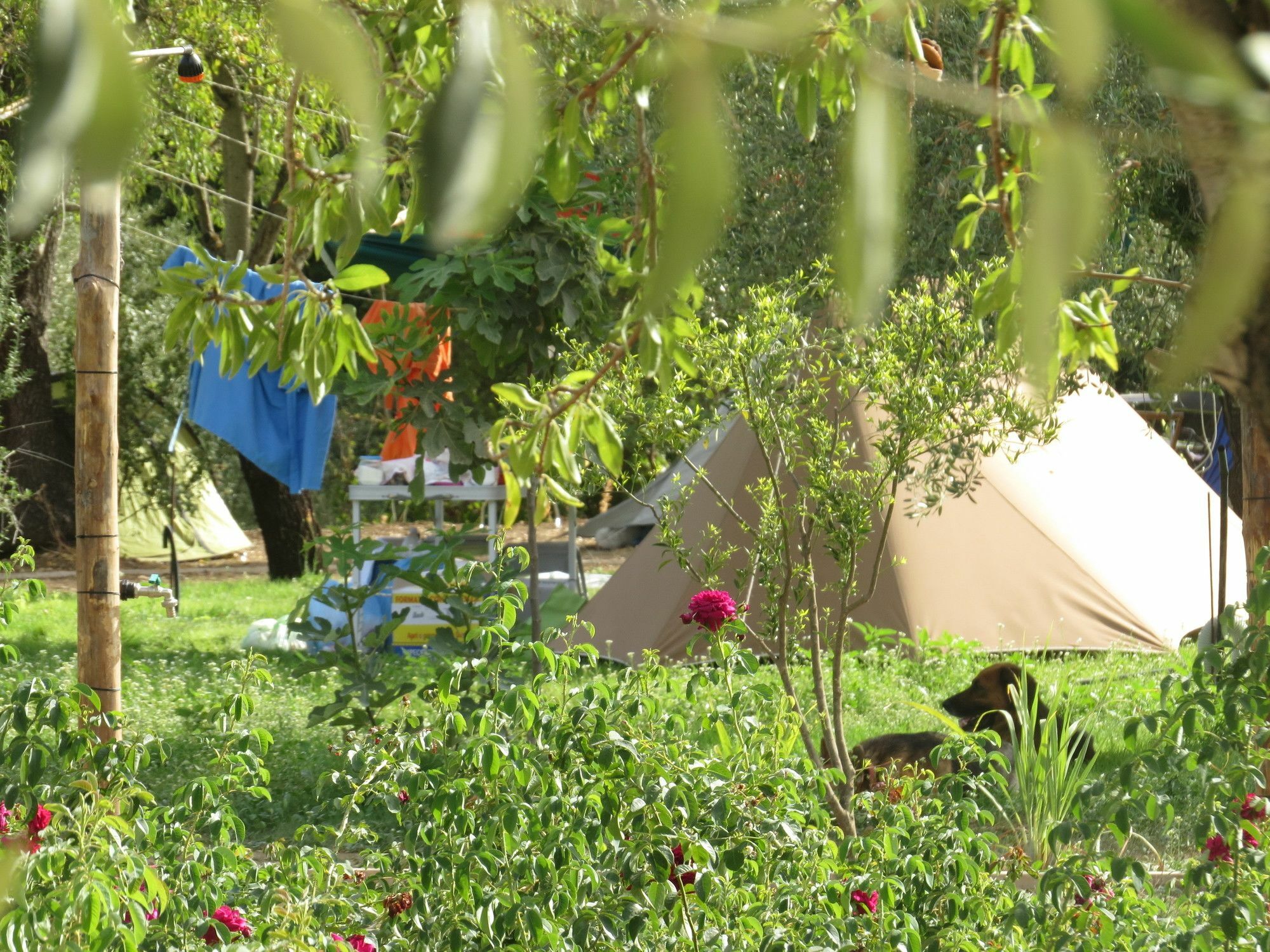 Camping Fiori Di Noto Otel Dış mekan fotoğraf