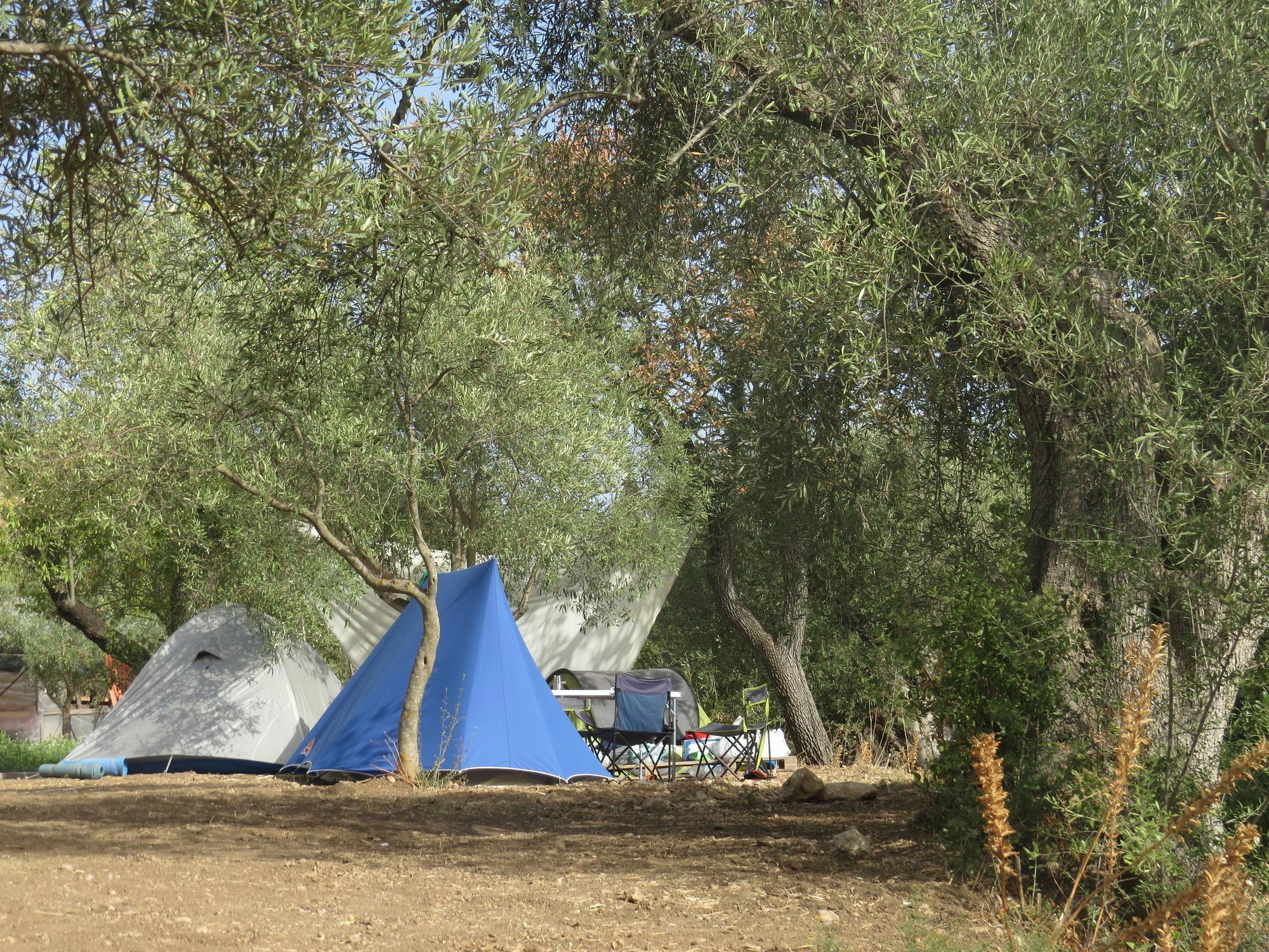 Camping Fiori Di Noto Dış mekan fotoğraf